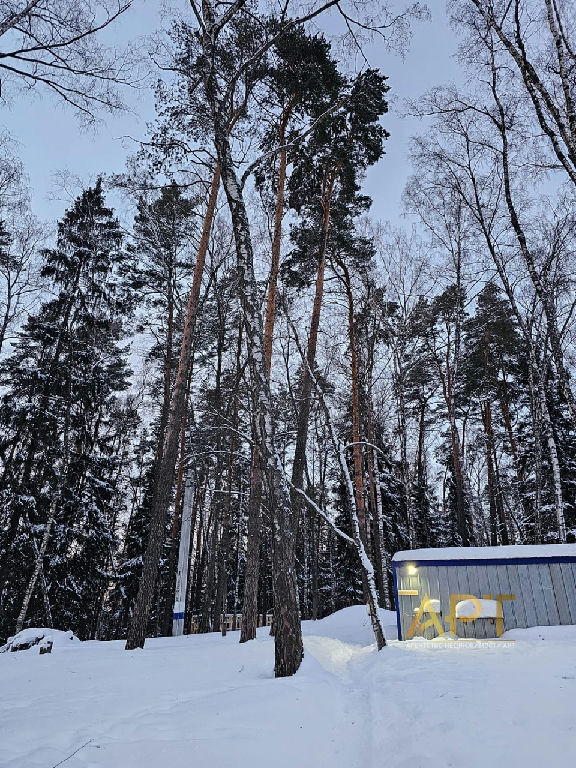 земля г Сергиев Посад снт Атмосфера фото 3