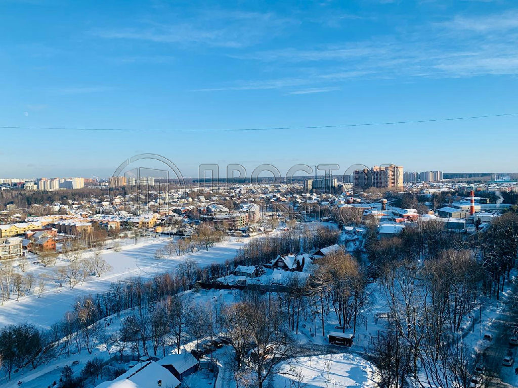 квартира городской округ Истра д Троица г. Нагорная ул., 6 фото 20