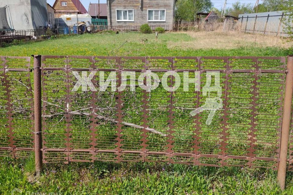 земля р-н Колыванский СТ Надежда фото 2