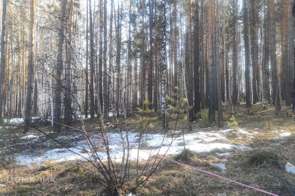 земля 354, Ангарский городской округ, СНТ Родник фото 4