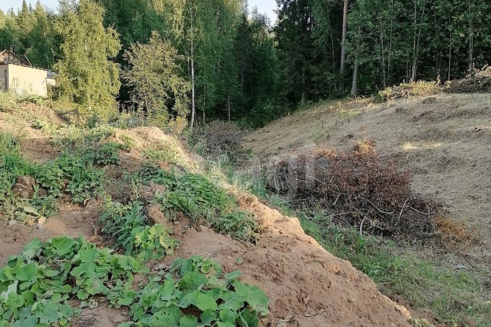 земля городской округ Сыктывкар, территория Дырносский, СНТ Благодатное фото 4