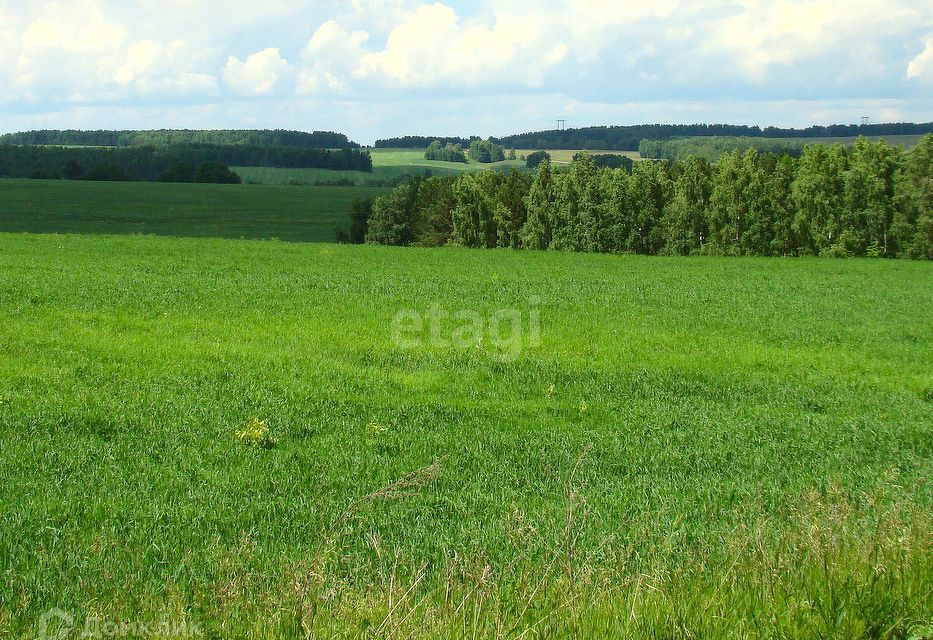 земля г Курган городской округ Курган, Зайково фото 3