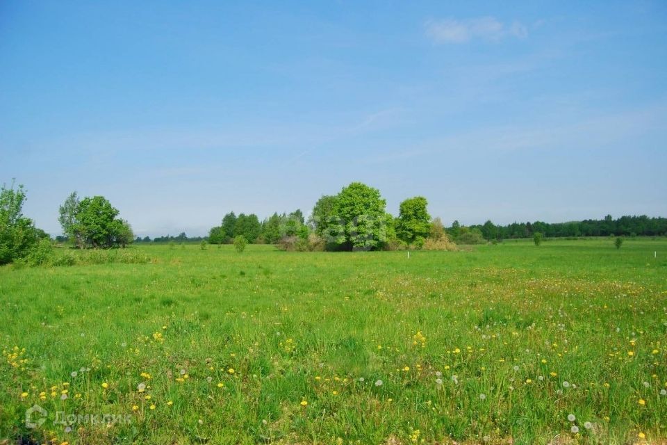 земля г Курган городской округ Курган, Зайково фото 5