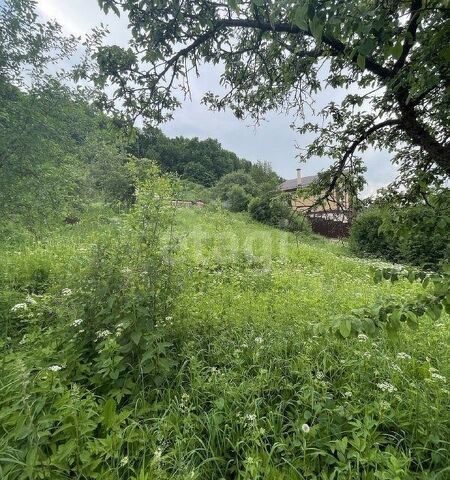 городской округ Калуга, садово-дачное товарищество Яченка фото