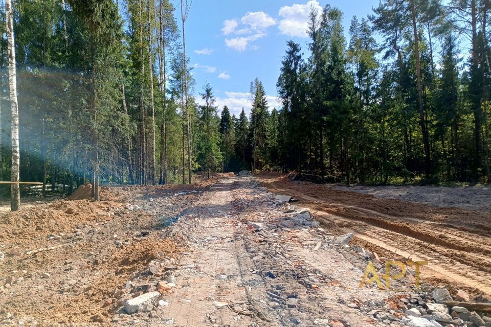 земля городской округ Щёлково территория Назимиха-Парк 3, 9-я Парковая улица фото 2