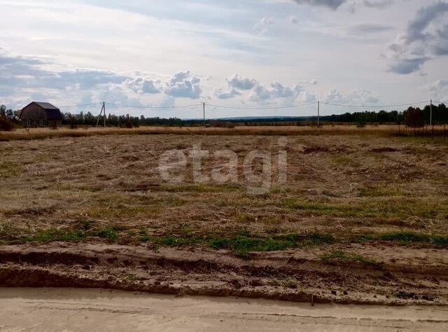 земля село Большие Березники фото