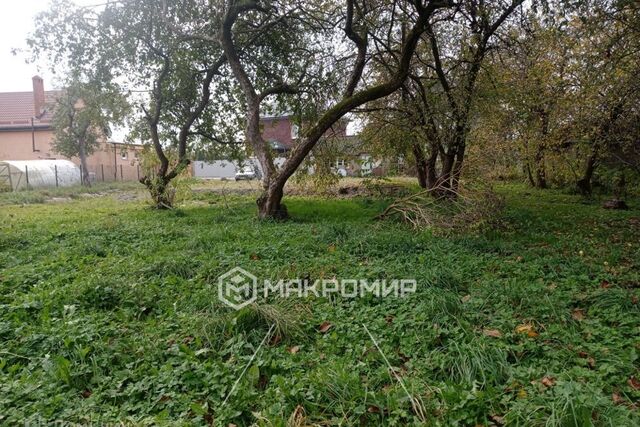 земля ул Яблочная городской округ Калининград фото