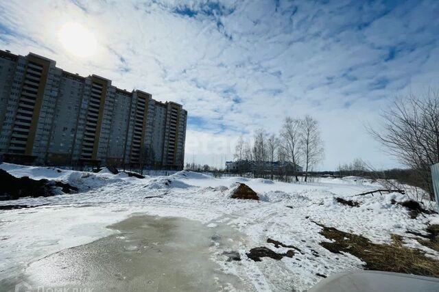 земля тер Пригородный Лес городской округ Тамбов фото