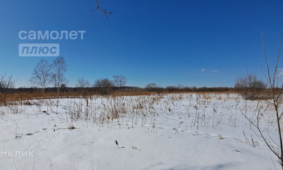 земля р-н Хабаровский село Тополево фото 1