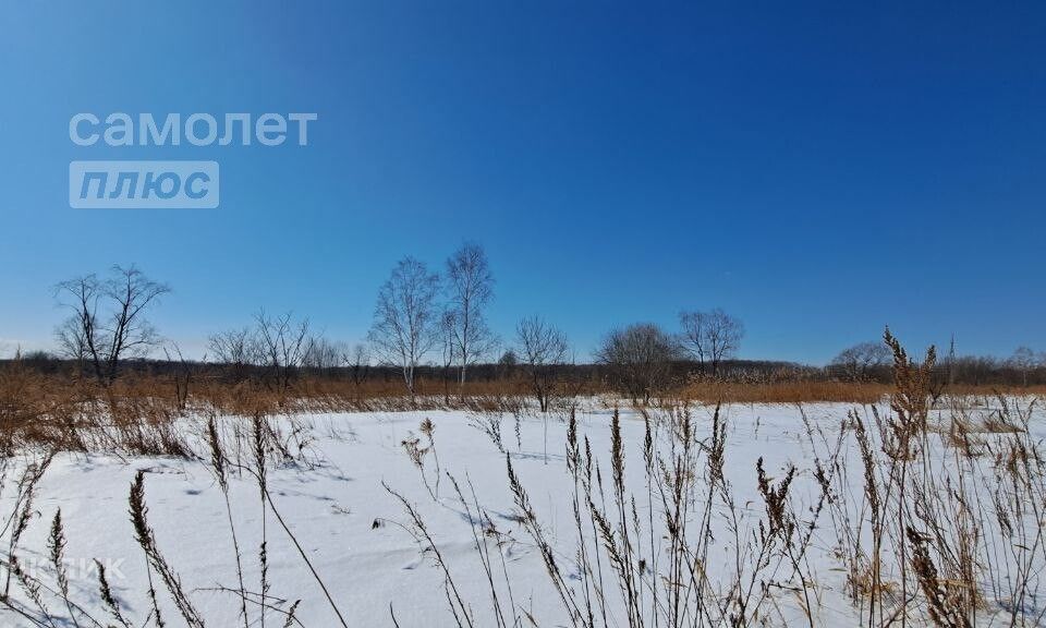 земля р-н Хабаровский село Тополево фото 2