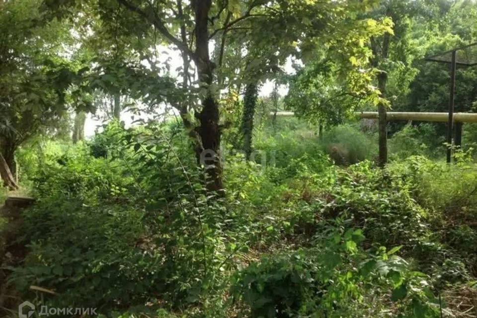 земля г Сочи с Пластунка городской округ Сочи, садоводческое товарищество Ампер фото 1