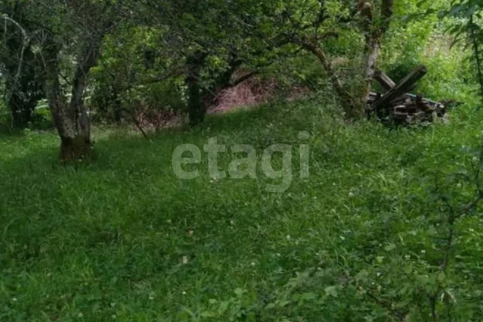 земля г Сочи с Пластунка городской округ Сочи, садоводческое товарищество Ампер фото 3