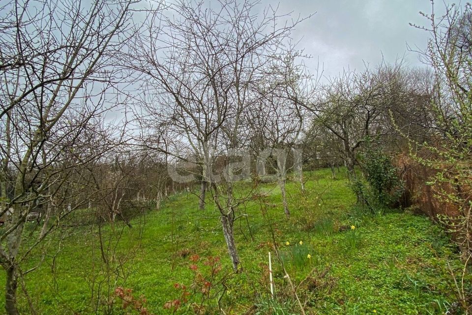 земля г Сочи с Вардане-Верино городской округ Сочи, садоводческое товарищество Вагонник фото 3