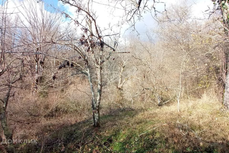 земля г Сочи с Верхний Юрт городской округ Сочи, садоводческое товарищество Вертикаль фото 7