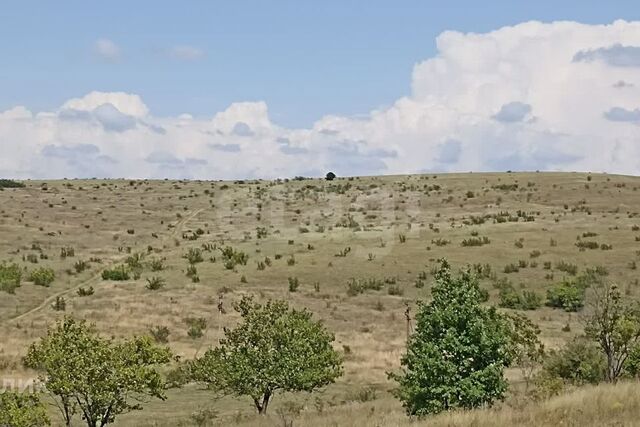 садоводческое некоммерческое товарищество Садовод фото