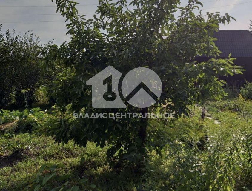 земля р-н Новосибирский СНТ Надежда-2 фото 1