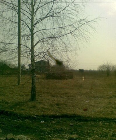 Рогачёвское сельское поселение, Каширское фото
