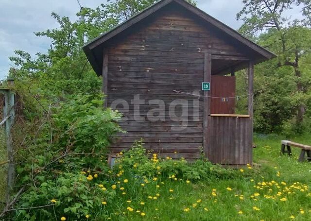 городской округ Коломна, садовое товарищество Яблонька фото