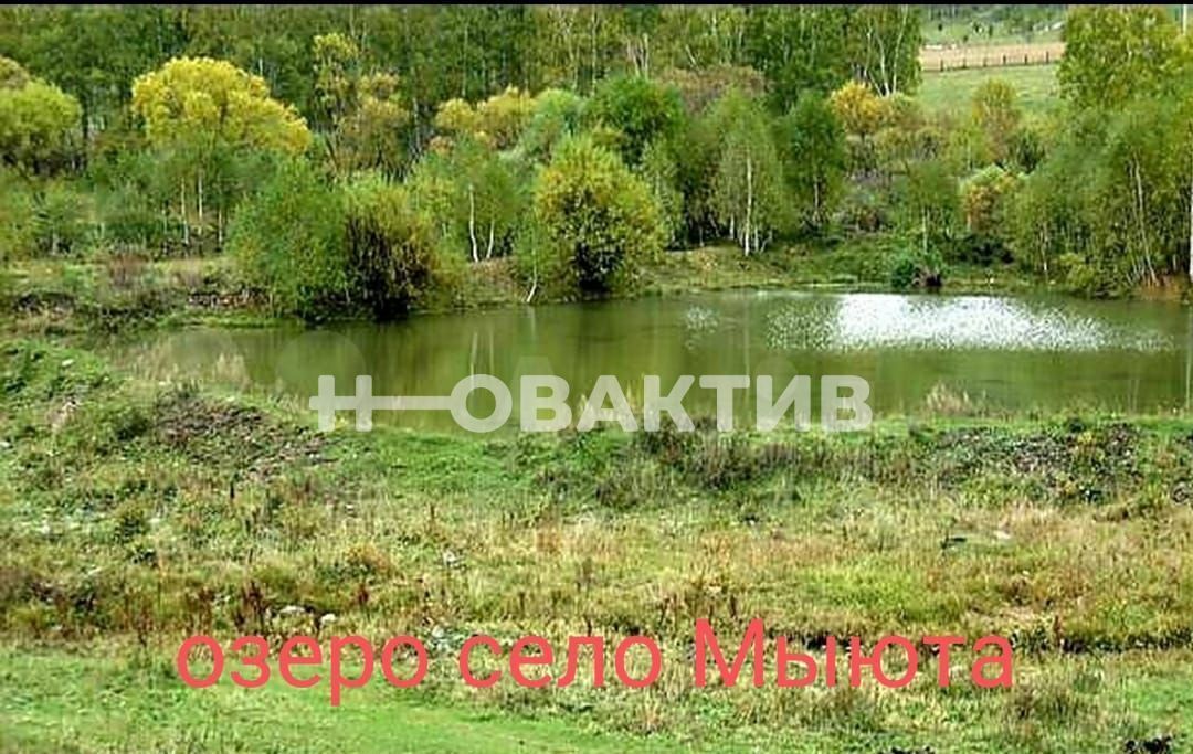 земля р-н Шебалинский с Мыюта ул Российская Горно-Алтайск фото 4