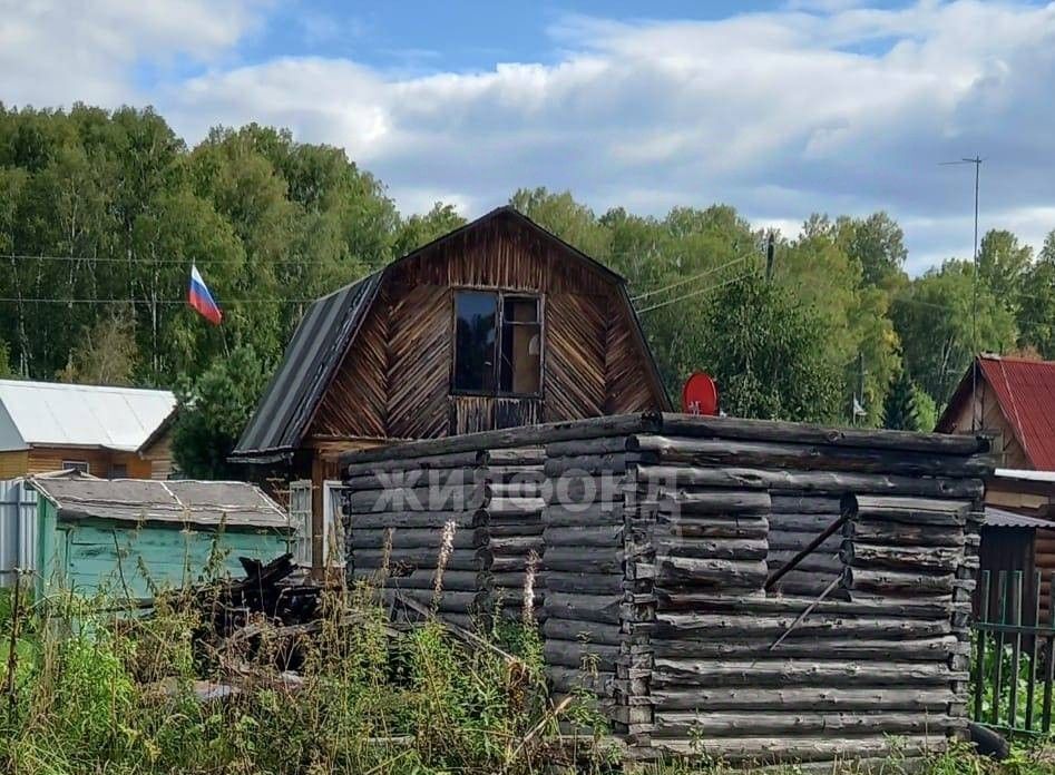 земля р-н Новосибирский снт Луч Раздольненский сельсовет фото 7
