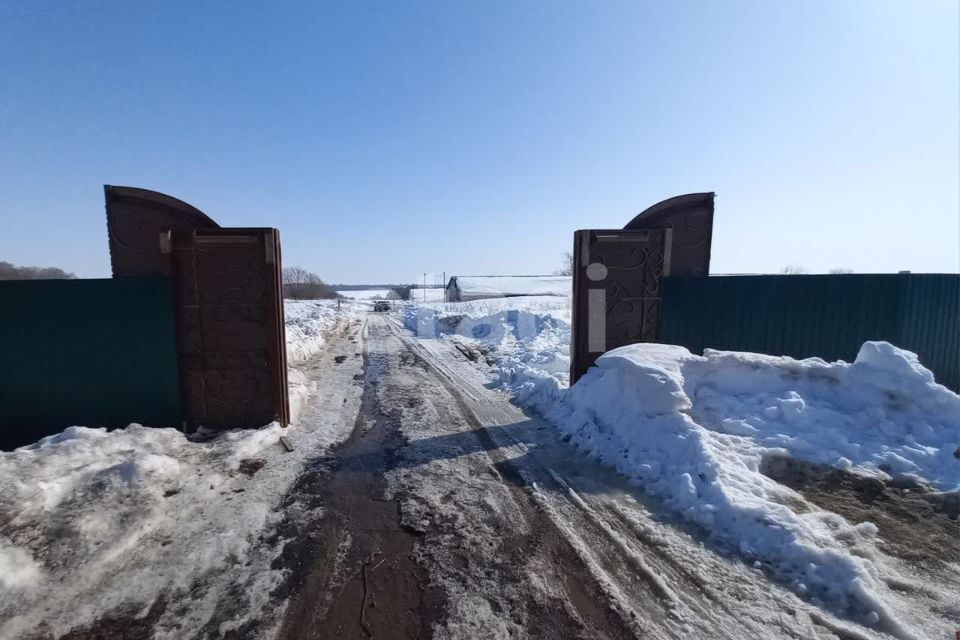 земля р-н Киреевский муниципальное образование Бородинское фото 1