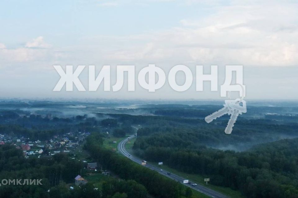 земля р-н Новосибирский с Раздольное ул Ленина фото 1