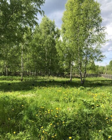 д. Городище, г. о. Клин фото