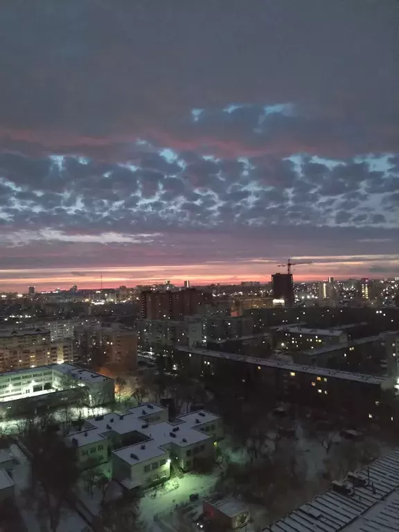 квартира г Новосибирск метро Площадь Гарина-Михайловского ул Забалуева 3/1 фото 1