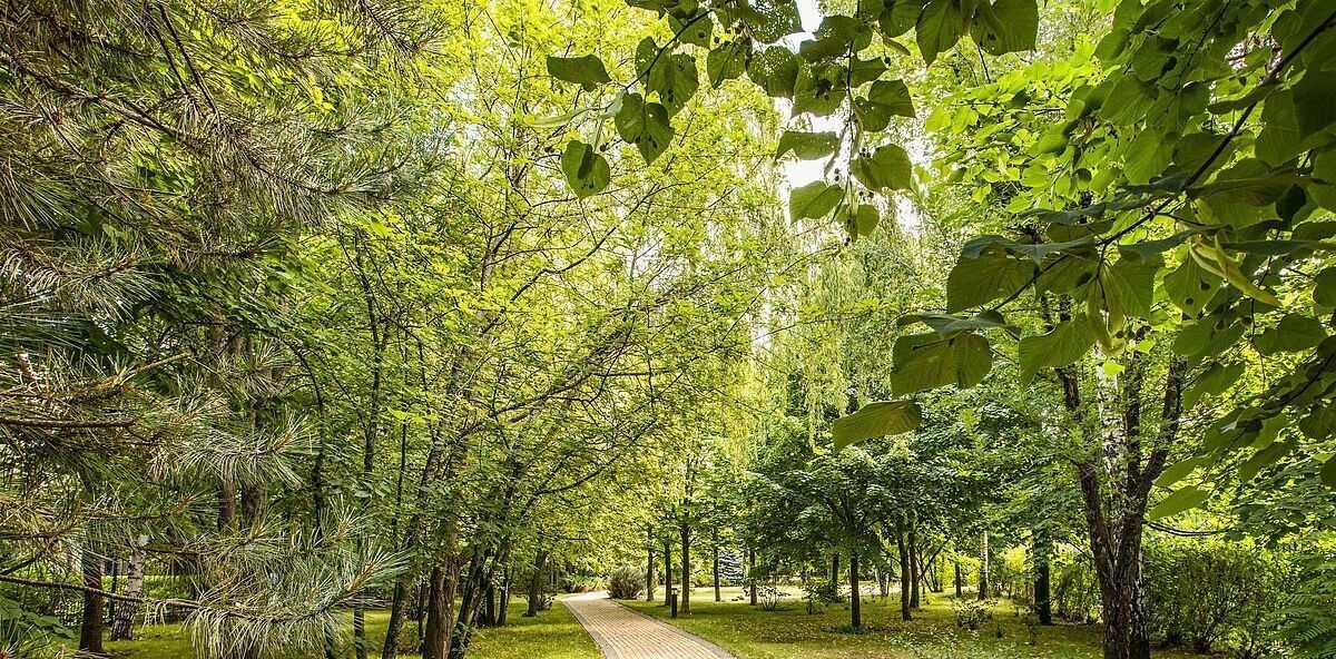 земля г Истра Миллениум Парк кп фото 1