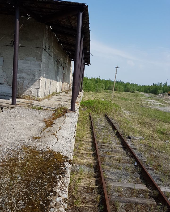 свободного назначения г Ноябрьск Тюменская обл. фото 2