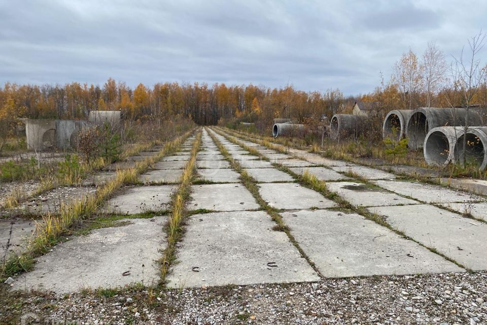 земля р-н Дзержинский д Жилетово ул Солнечная фото 1