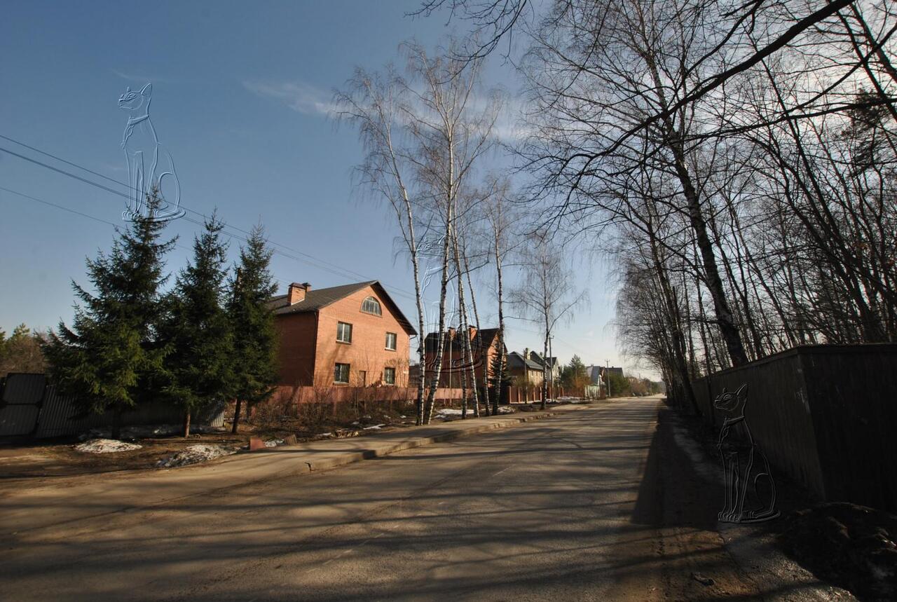 земля г Щёлково снт Бауманец-1 фото 5