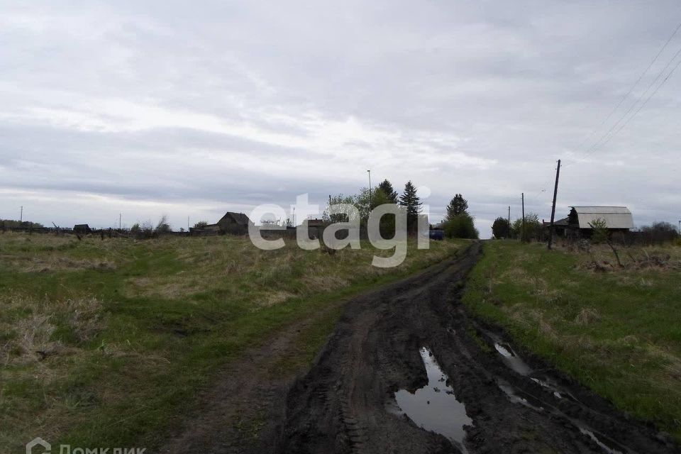 земля р-н Емельяновский д Борлок ул Солнечная фото 3