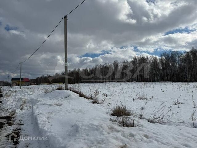 городской округ Тюмень, Калининский округ фото