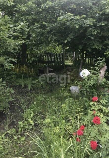 земля г Ставрополь городской округ Ставрополь, садовое товарищество Берёзка-2 фото 1