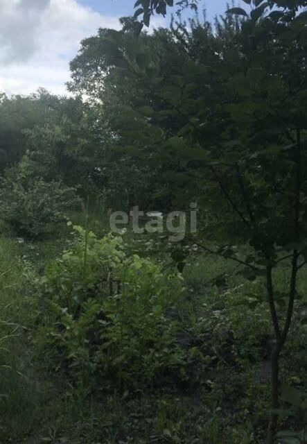 земля г Ставрополь городской округ Ставрополь, садовое товарищество Берёзка-2 фото 2