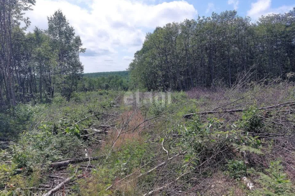 земля г Южно-Сахалинск городской округ Южно-Сахалинск, СНТ ДОСААФ фото 5