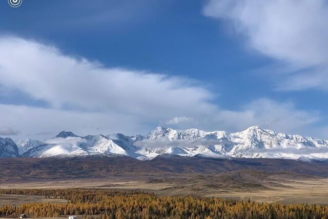 земля Курайская степь фото