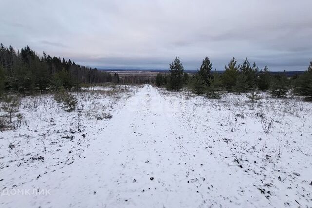 ул Школьная фото