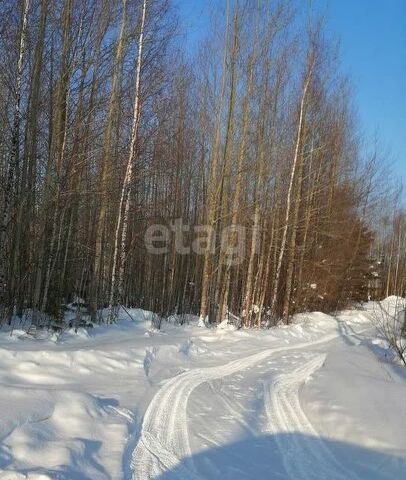 земля садово-огородническое товарищество Прометей, городской округ Ханты-Мансийск фото