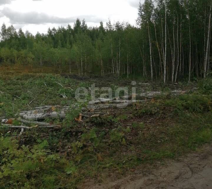 земля г Ханты-Мансийск садово-огородническое товарищество Прометей, городской округ Ханты-Мансийск фото 3