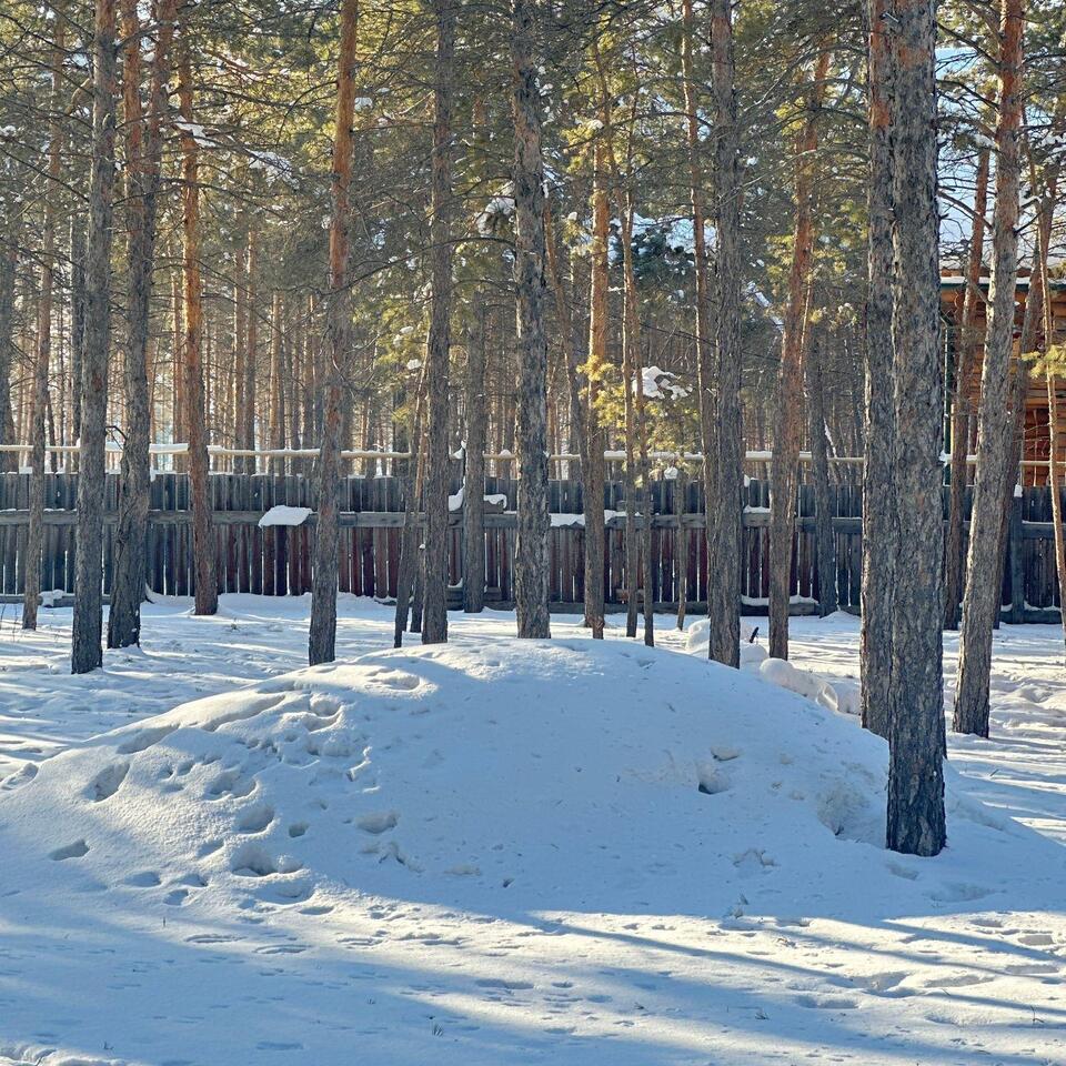 земля г Якутск ул Бекетова фото 3