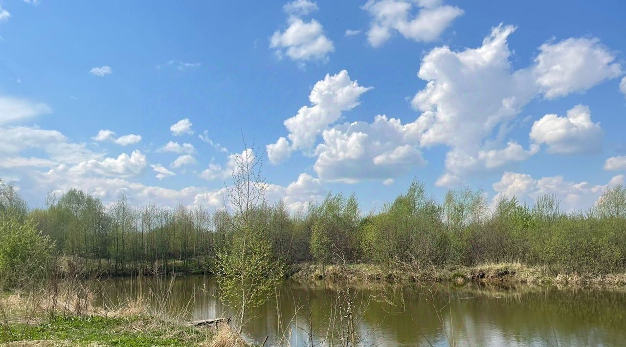 земля городской округ Ленинский с Остров фото 5