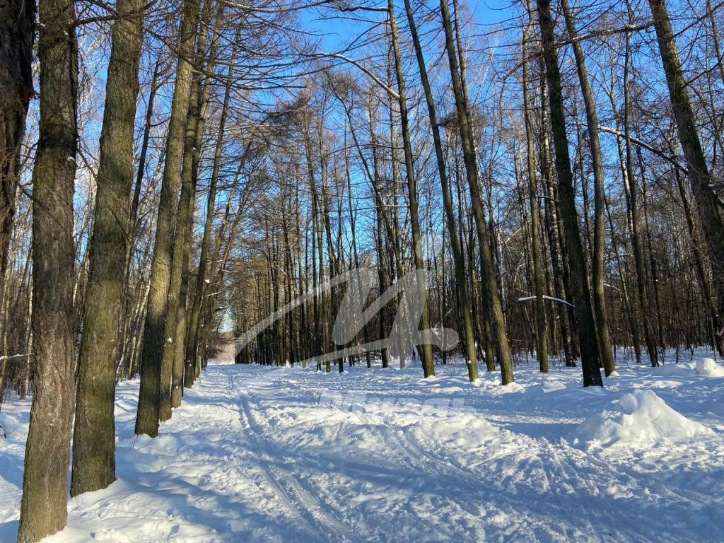 квартира г Москва метро Коптево б-р Матроса Железняка 11 МЦК фото 9