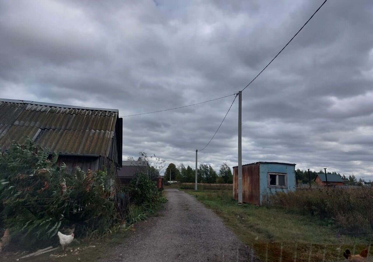 земля р-н Спасский с Кирицы Кирицкое сельское поселение, Лесной фото 6