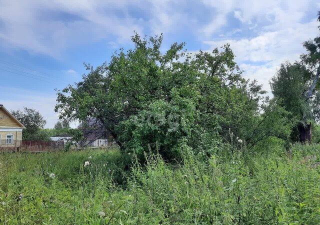 д Шарьево сельское поселение Некрасовское, Некрасовское фото