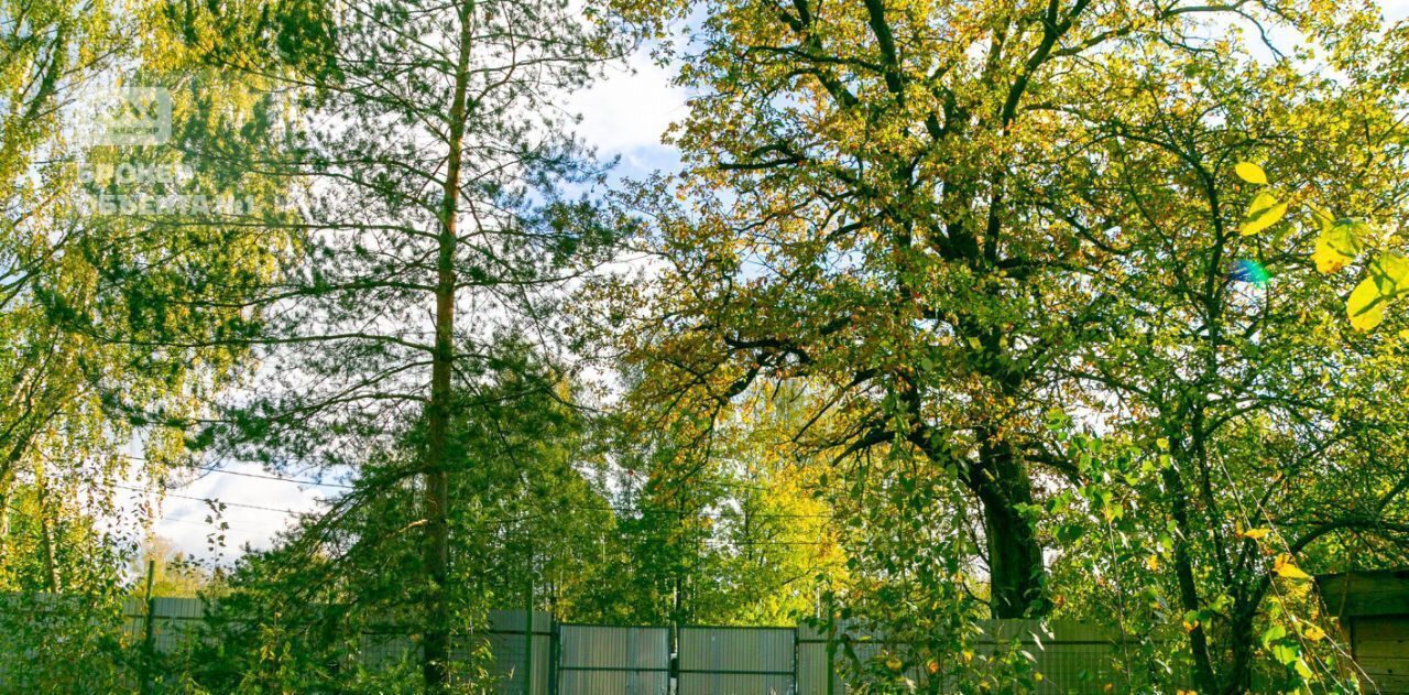 офис г Павловск Зверинец метро Купчино фото 14