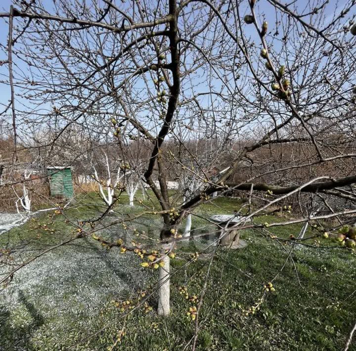 дом г Черкесск снт Тополек садоводческое товарищество фото 15