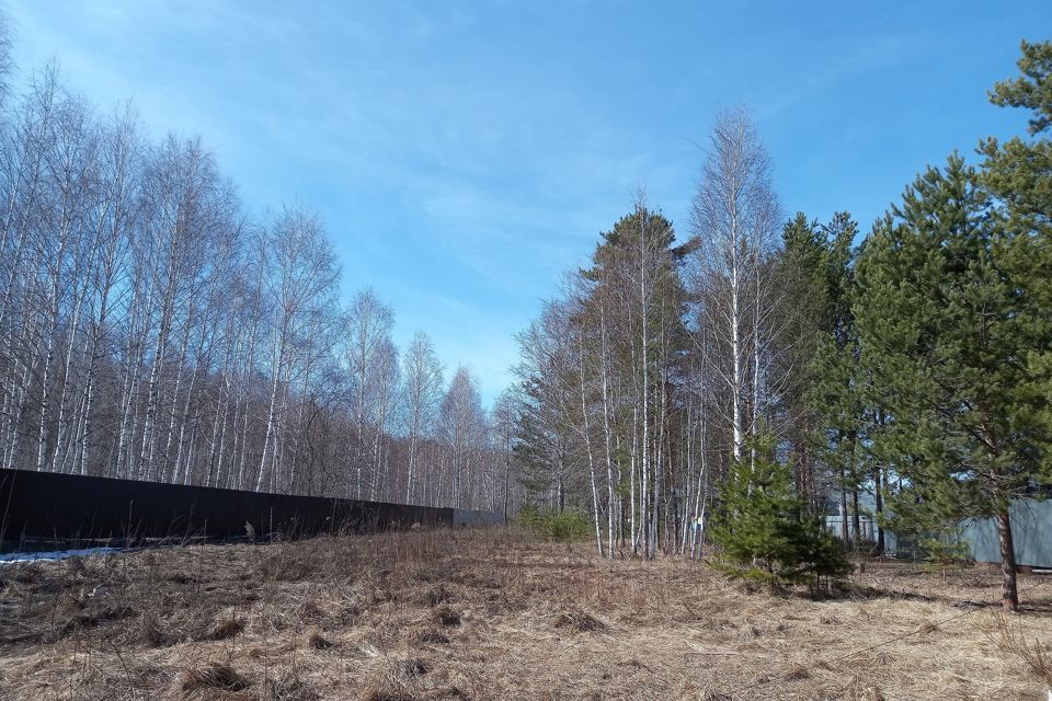 земля г Тюмень тракт Салаирский городской округ Тюмень фото 2