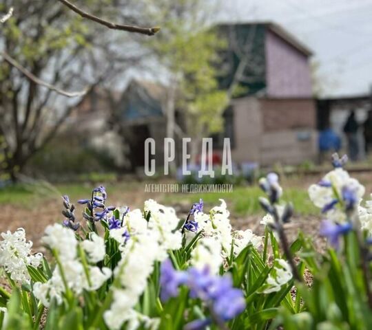 Гагаринский муниципальный округ, садоводческое некоммерческое товарищество Утёс фото
